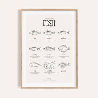 Types of fish print with nine engraved British fish in black ink