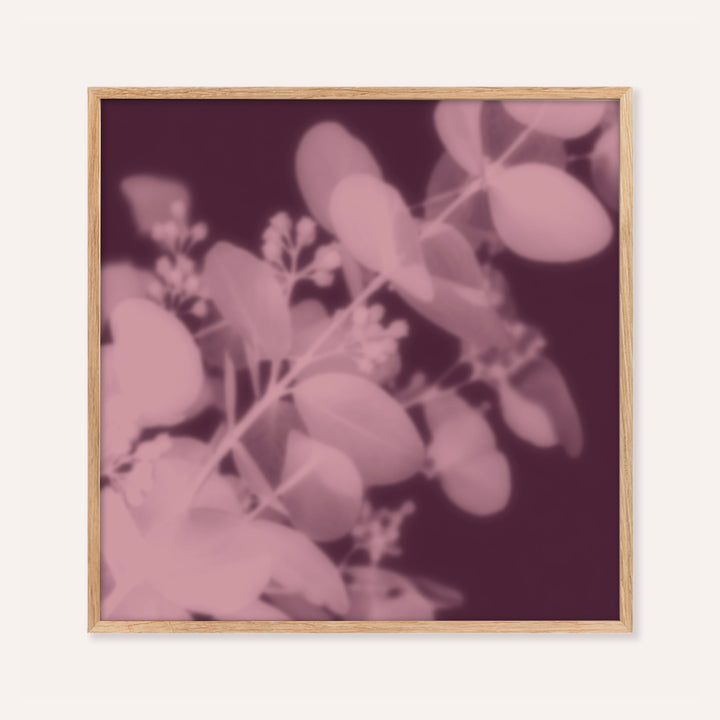 plum eucalyptus print showing eucalyptus in soft focus on dark plum