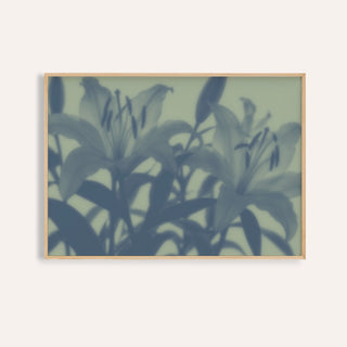 sage lily print showing lilies in soft focus on soft sage green
