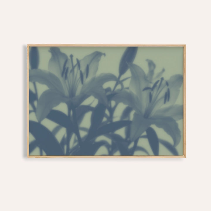 sage lily print showing lilies in soft focus on soft sage green