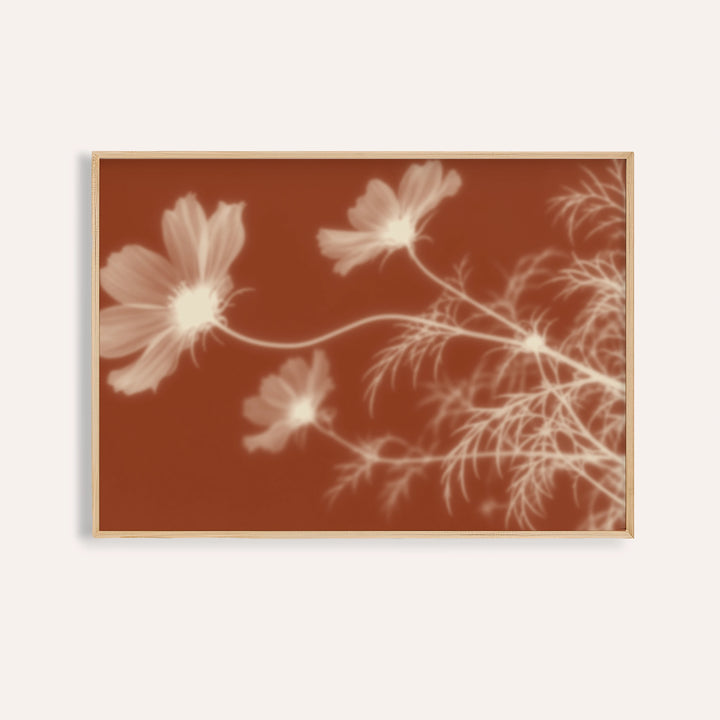 cream cosmos print showing cosmos in soft focus on rust orange