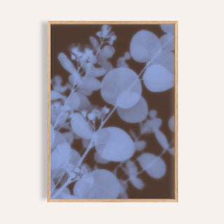 chocolate eucalyptus print showing eucalyptus in soft focus on rich chocolate brown