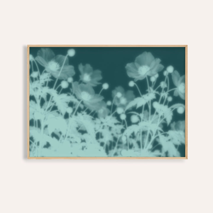 teal anemone print showing anemones in soft focus on deep teal