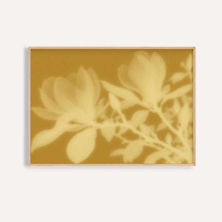 ochre magnolia print showing magnolia in soft focus on warm ochre