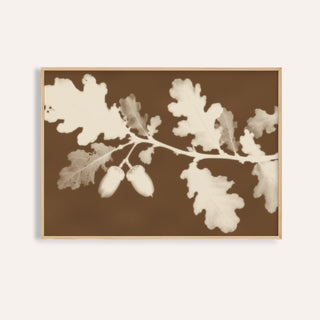 tea toned oak leaves print showing oak leaves in soft focus on tea toned brown