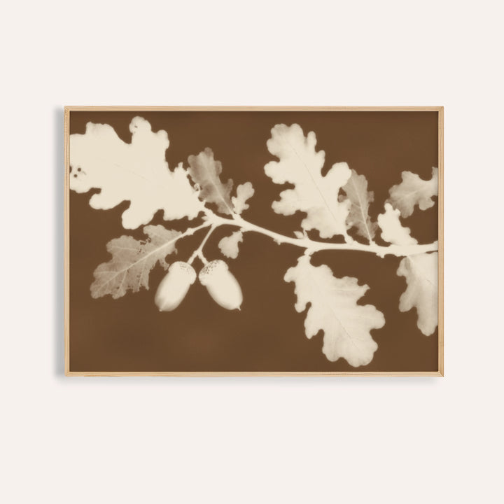 tea toned oak leaves print showing oak leaves in soft focus on tea toned brown