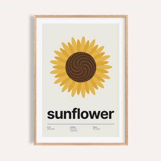 Sunflower head from above print shown on a plain warm cream wall