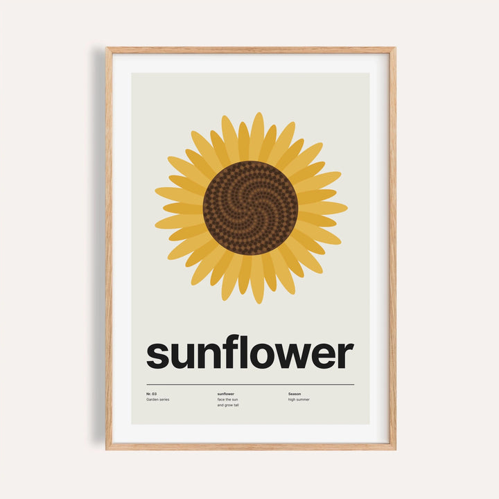 Sunflower head from above print shown on a plain warm cream wall