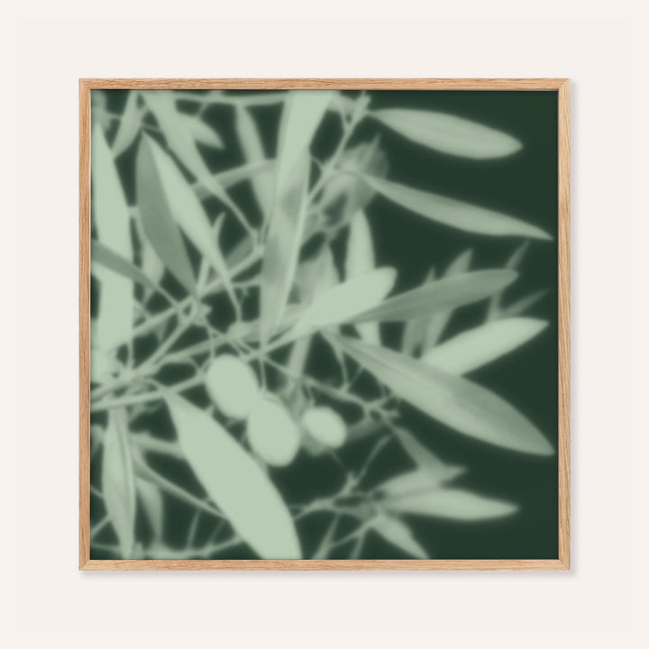 mint olive branch print showing olive leaves in soft focus on deep forest green