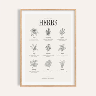 Types of Herbs Print