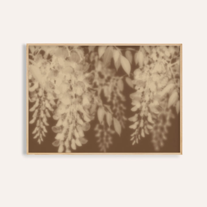 sand wisteria print showing wisteria in soft focus on warm sepia brown