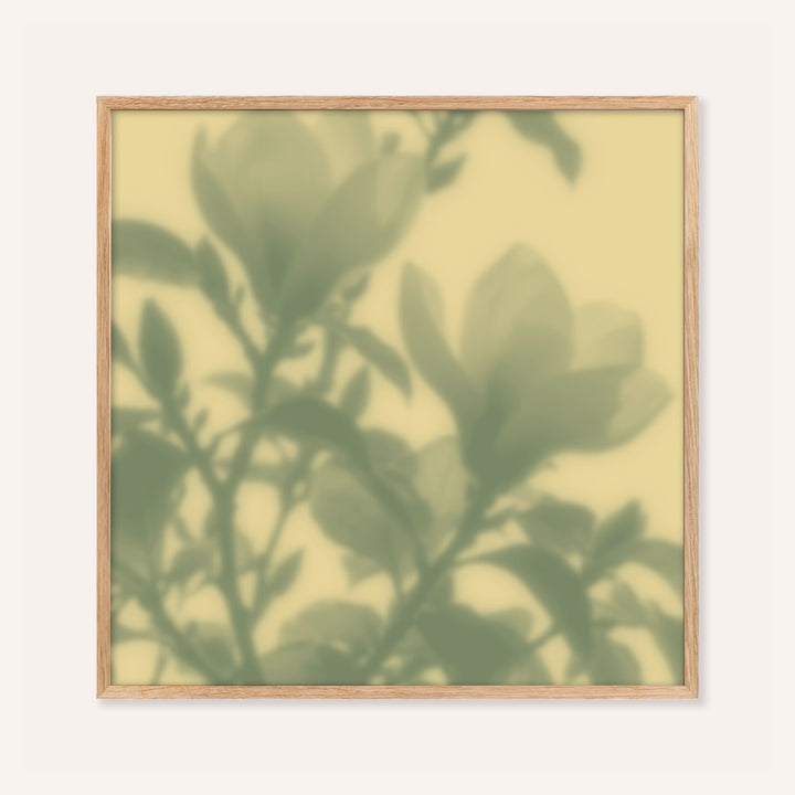 sage magnolia print showing magnolia in soft focus on butter yellow
