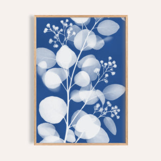 eucalyptus cyanotype print showing eucalyptus in soft focus on Prussian blue