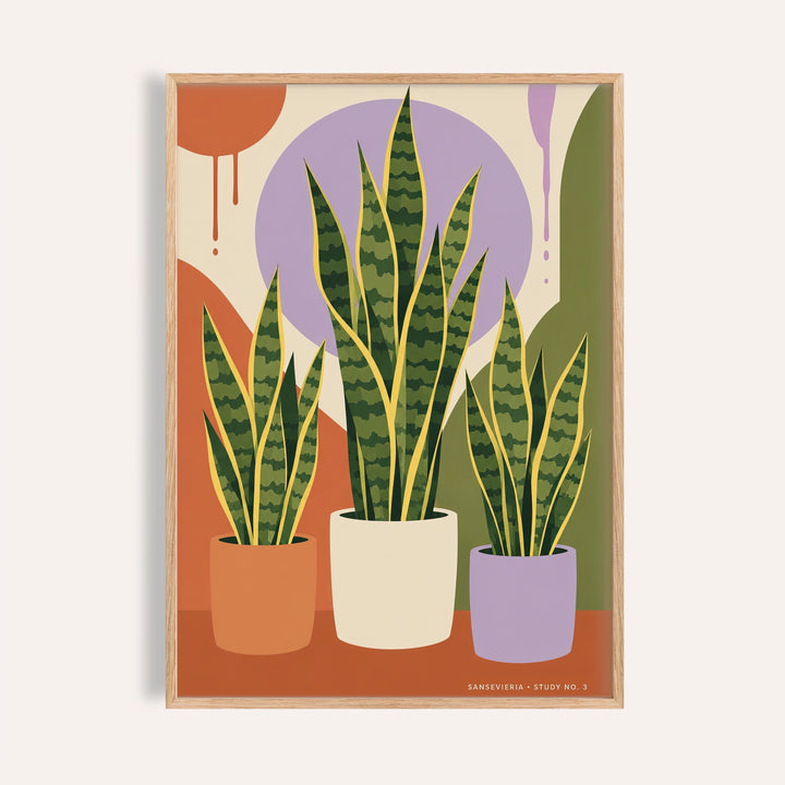 Modern botanical print with three snake plants in terracotta, cream and lilac pots