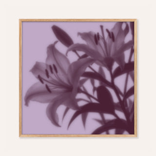 plum lily print showing lilies in soft focus on pale lilac