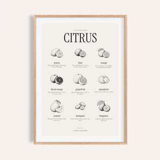 Types of Citrus Print