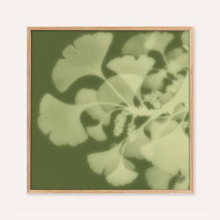 pistachio ginkgo print showing ginkgo in soft focus on moss green