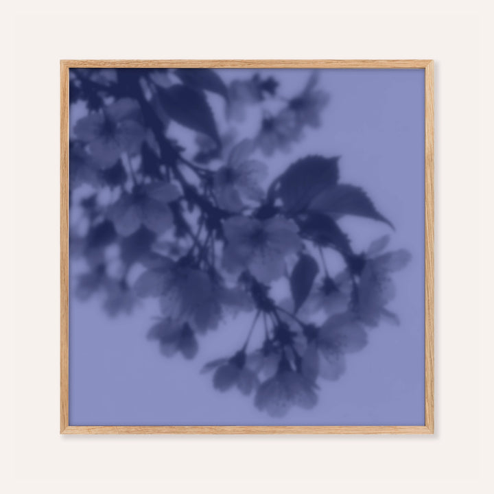 navy cherry blossom print showing cherry blossom in soft focus on periwinkle blue
