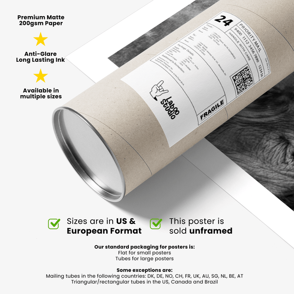 Wildlife photography print of two elephants with curved tusks and soft background