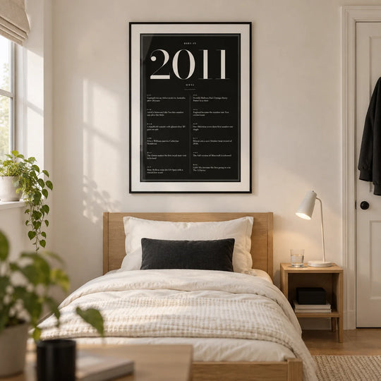 Noir de 2011