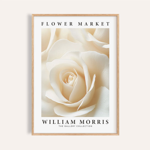 Floral wall art for living room with delicate white rose illustration