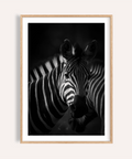Centered zebra portrait wall art poster in black and white tones