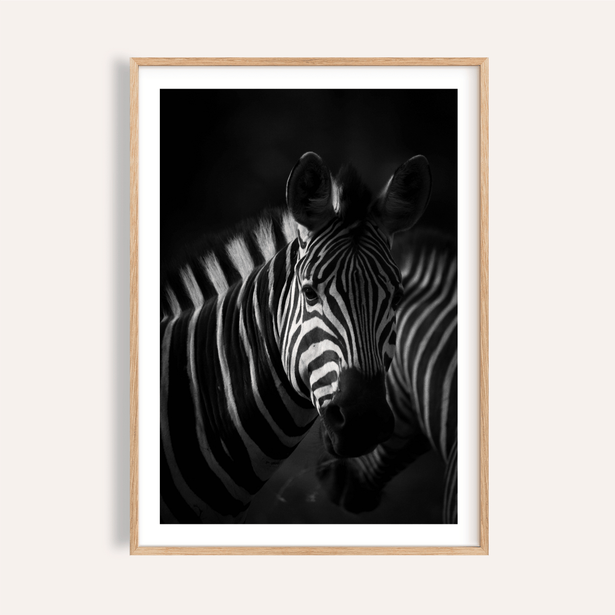 Centered zebra portrait wall art poster in black and white tones