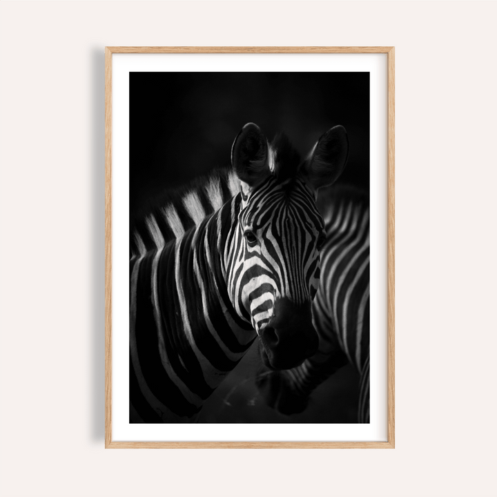 Centered zebra portrait wall art poster in black and white tones