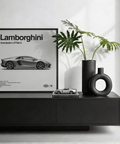 Gray Lamborghini Aventador Wall Art for youth room decor