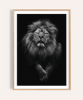 Front-facing lion portrait wall art print with detailed mane in monochrome