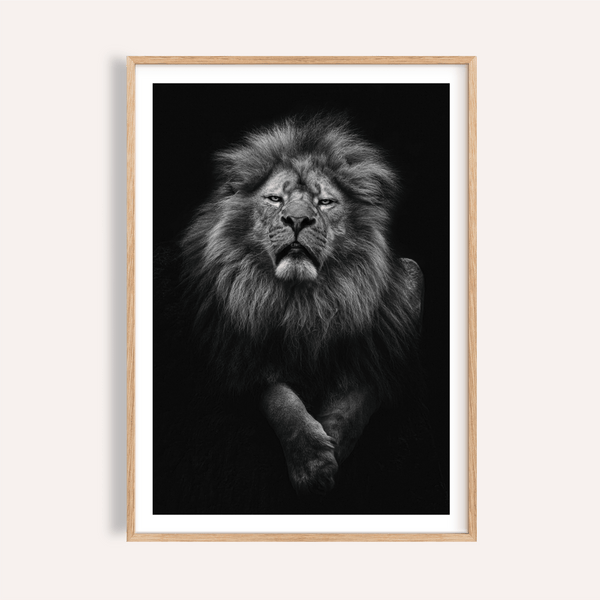 Front-facing lion portrait wall art print with detailed mane in monochrome