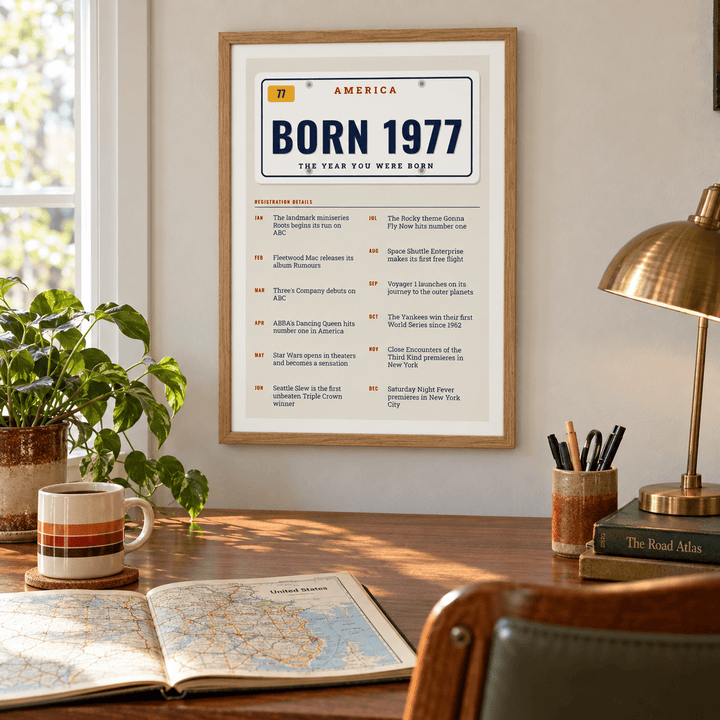 License plate print reading BORN 1977 on a wall in a lived in room