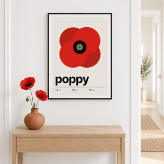 Single summer poppy from above above a console table with a single red poppy