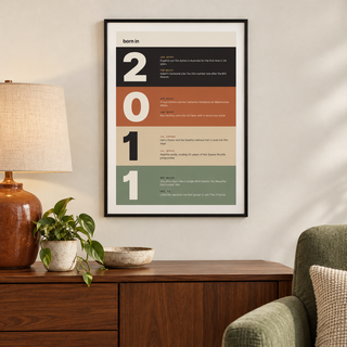 Charcoal terracotta sand and sage 2011 print on a wall in a lived in room