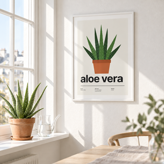 Aloe vera in a terracotta pot beside a sunny windowsill with plants