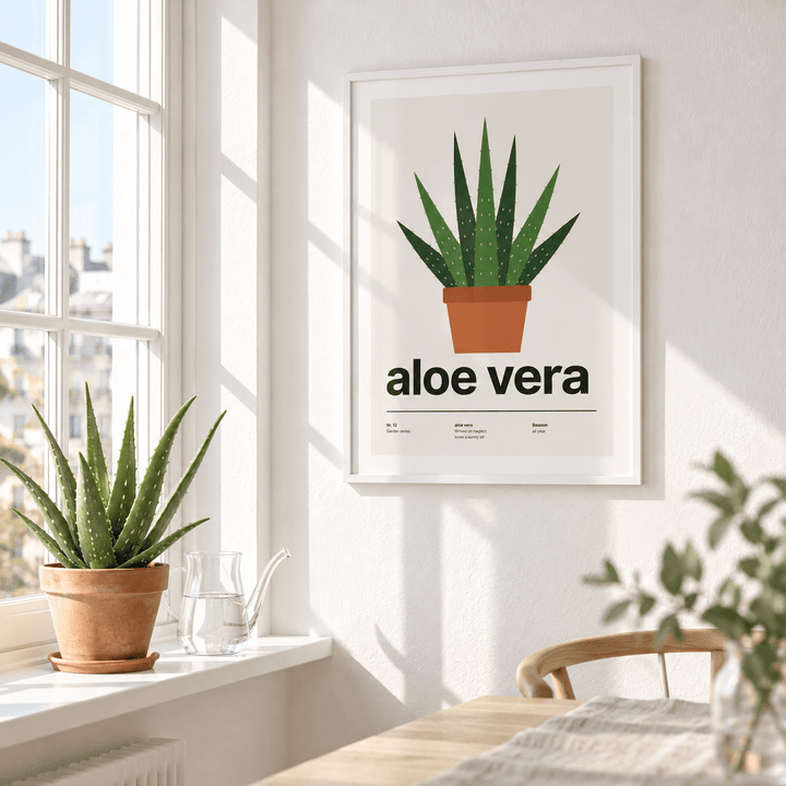 Aloe vera in a terracotta pot beside a sunny windowsill with plants