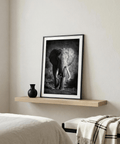 Wildlife Photography Art monochrome image of elephant head and trunk