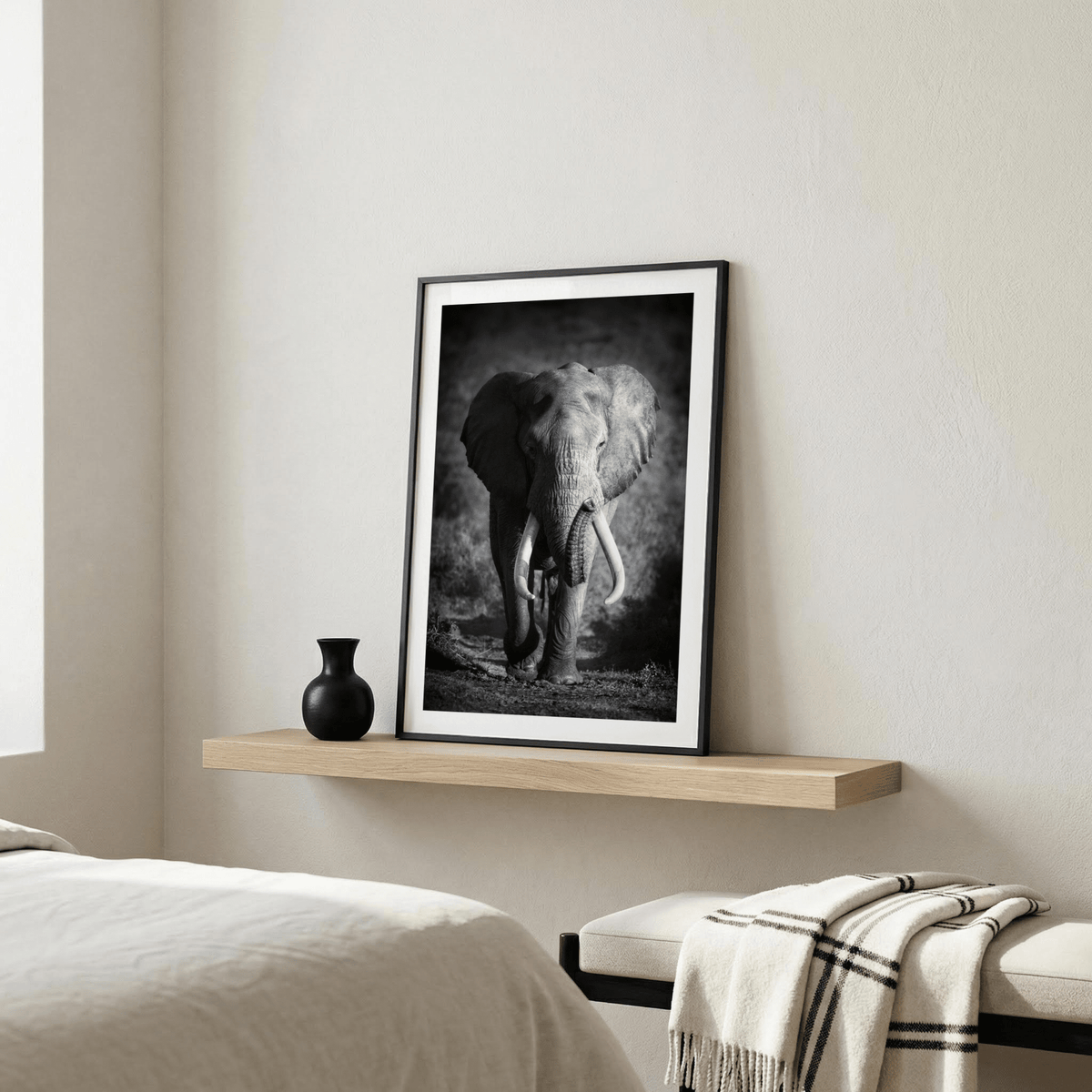 Wildlife Photography Art monochrome image of elephant head and trunk