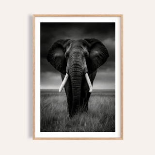 Black and White Elephant Print featuring head-on elephant with tusks and tall grass