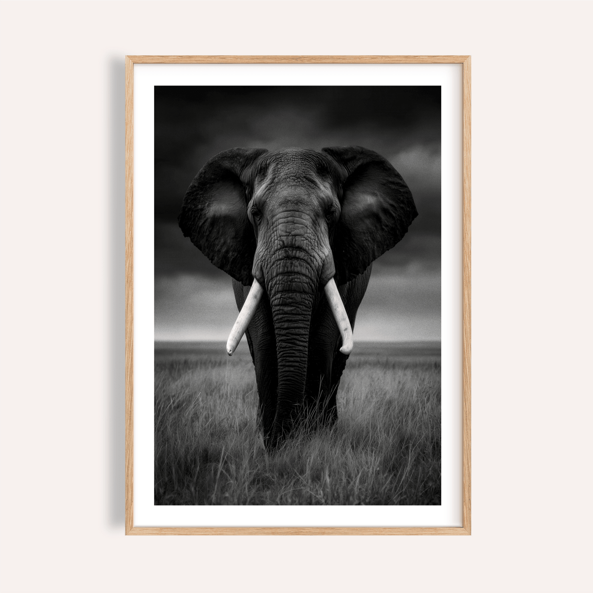 Black and White Elephant Print featuring head-on elephant with tusks and tall grass
