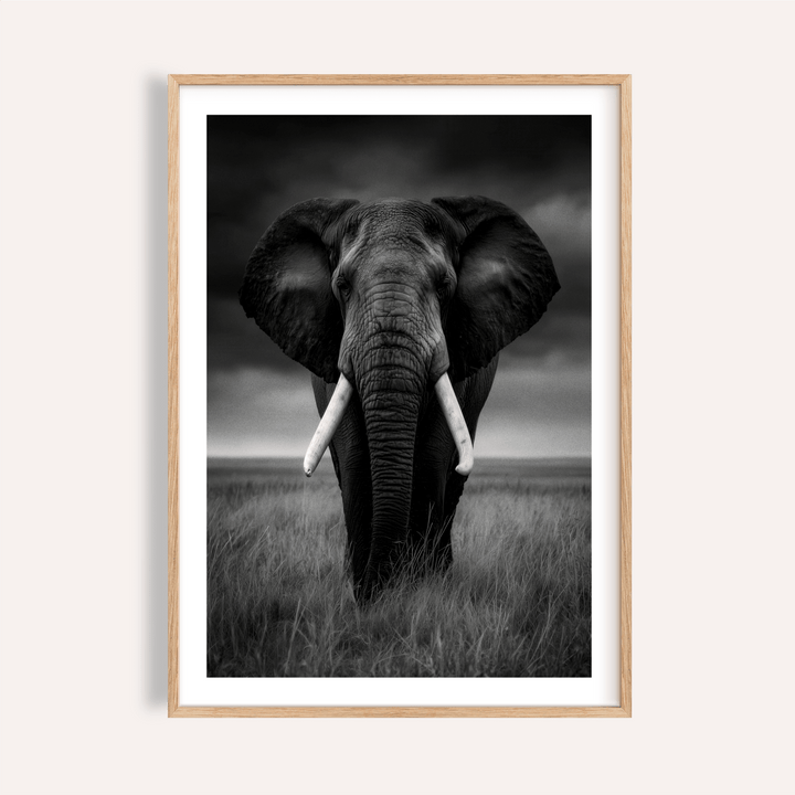 Black and White Elephant Print featuring head-on elephant with tusks and tall grass