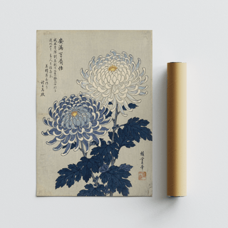 Chrysanthemum Art Print botanical wall art with Blue petals, suitable for office