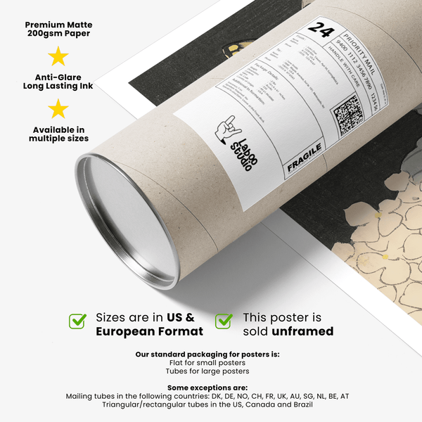 Butterfly Art Print poster with Black background, study room