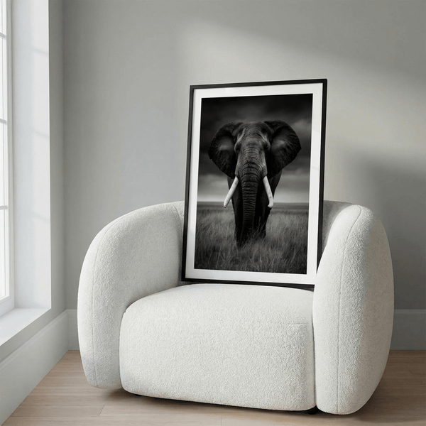 Black and White Elephant Print wall poster showing textured skin and curved ivory tusks