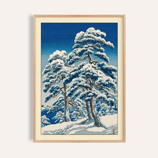 Snow-covered pine trees poster with layered branches on a winter hillside