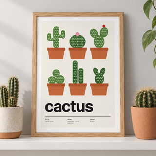 Six cacti in terracotta pots leaning on a shelf beside potted cacti