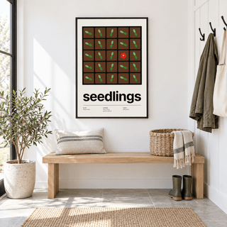 Tray of seedlings from above in a mudroom beside the garden door