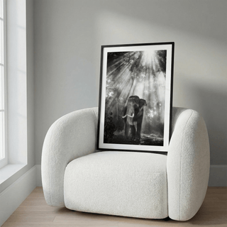 Diagonal rays illuminate tusked elephant and misty woodland print