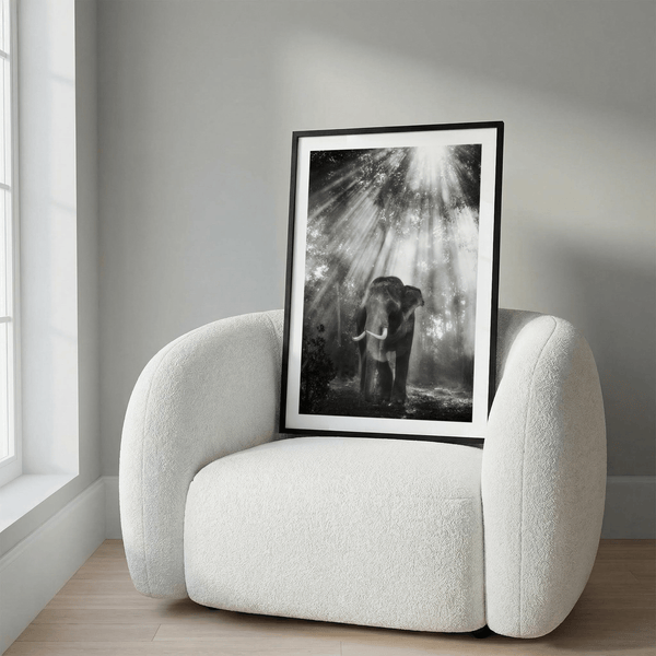 Diagonal rays illuminate tusked elephant and misty woodland print