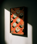 Colorful Sushi Wall Poster with Orange and Green for home kitchen